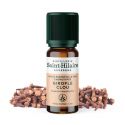Olio essenziale (Biologico) di chiodi di garofano - 10ml - De Saint Hilaire