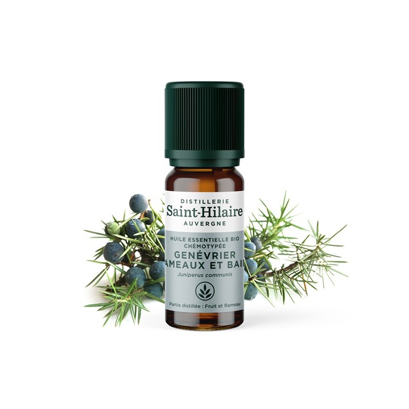 Wacholder ätherisches Öl - 10ml - De Saint Hilaire