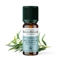 Huile essentielle BIO d'Eucalyptus Radié - 10ml - De Saint Hilaire