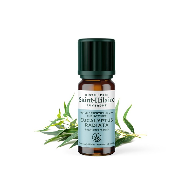 Olio essenziale (Biologico) di eucalipto radiata - 10ml - De Saint Hilaire