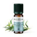 Olio essenziale (Biologico) di eucalipto radiata - 10ml - De Saint Hilaire