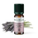 Huile essentielle BIO de Lavande Aspic - 10ml - De Saint Hilaire