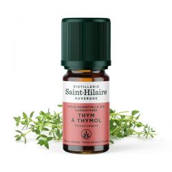 Thymian Thymol ätherisches Öl - 5ml - De Saint Hilaire