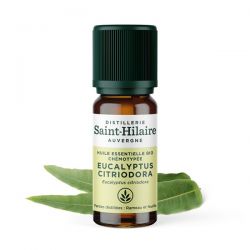 Eukalyptus citriodora ätherisches Öl - 10ml - De Saint Hilaire