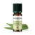 Huile essentielle BIO d'Eucalyptus Citronné - 10ml - De Saint Hilaire
