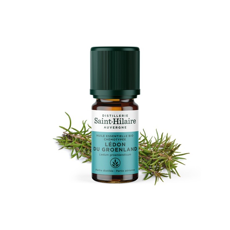 Huile essentielle BIO de Lédon du groënland - 5ml - De Saint Hilaire