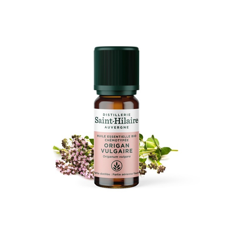 Bio ätherisches Öl von Oregano - 10ml - De Saint Hilaire