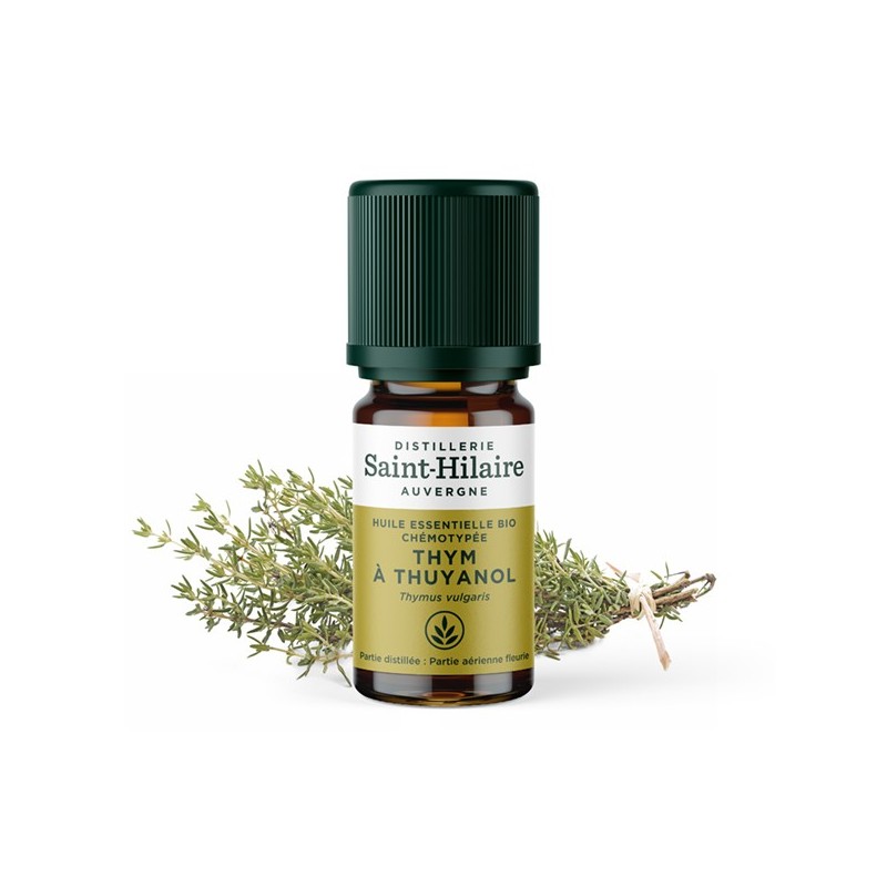 Thymian thujanol ätherisches Öl - 5ml - De Saint Hilaire