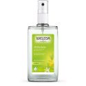 Déodorant 24H en spray au Citrus - 100ml - Weleda