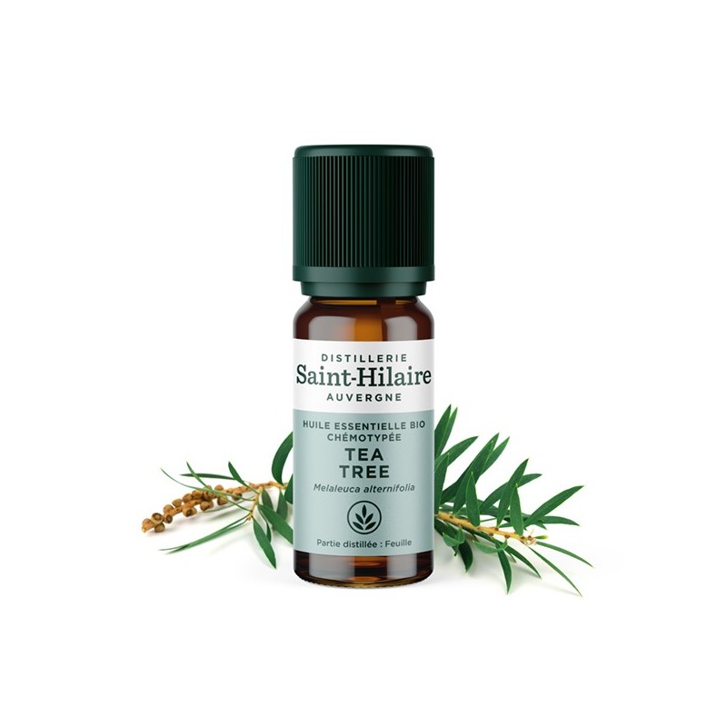 Teebaum ätherisches Öl - 10ml - De Saint Hilaire