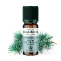 Olio essenziale (Biologico) di cedro- 10ml - De Saint Hilaire