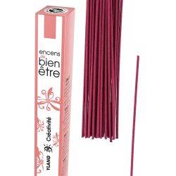 Japanische Räucherstäbchen, Aromambiance, Parfum und Desodorierung - Ylang - 30St. - Les Encens du Monde