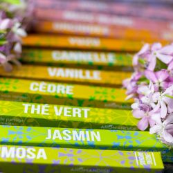 Encens japonais "Découverte", la qualité à petit prix, Jasmin - 12x 50min. - Les Encens du monde