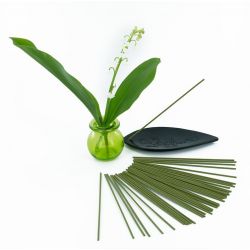Rouleaux d'encens japonais court, Muguet - 35x 30 min. - Les encens du monde