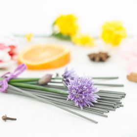 Encens végétal Japonais, Herbosense, 100% naturel -  Géranium rosat, Anis  - 30pces - Les Encens du Monde 