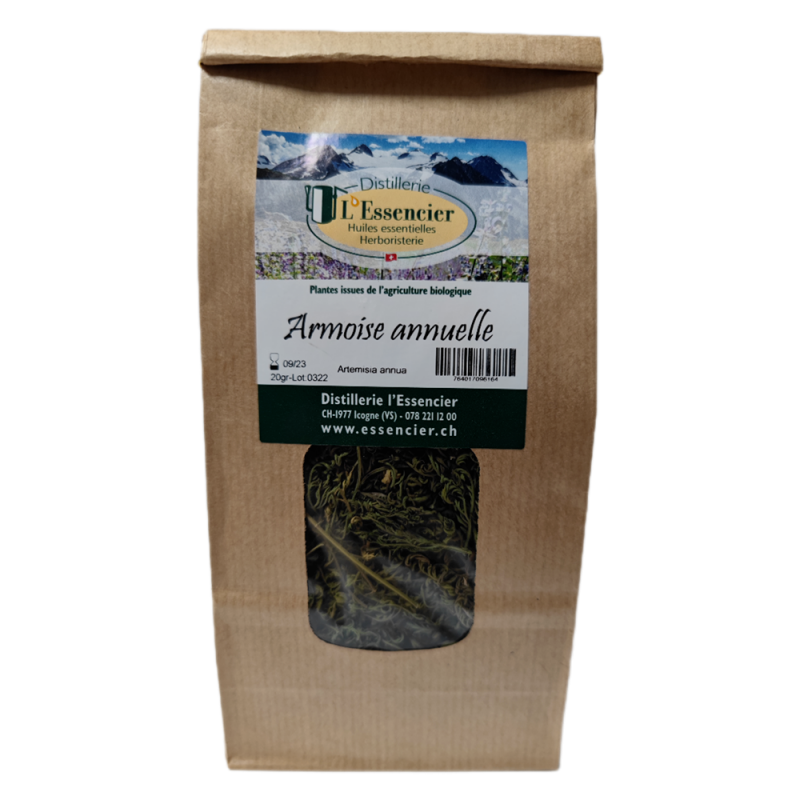Armoise annuelle BIO (Artemesia annua) pour infusions - 20g - L'essencier