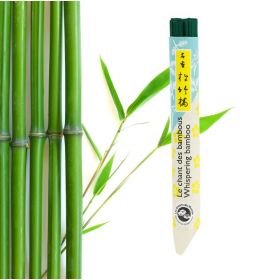 Rotoli corti di incenso giapponese, Bamboo Canzone - 40x 30 min. - Les encens du monde