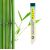Rotoli corti di incenso giapponese, Bamboo Canzone - 40x 30 min. - Les encens du monde