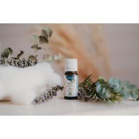 Synergie Hiver, pour diffuseur ou humidificateur - Purifier l'air - 10ml - NéoBulle