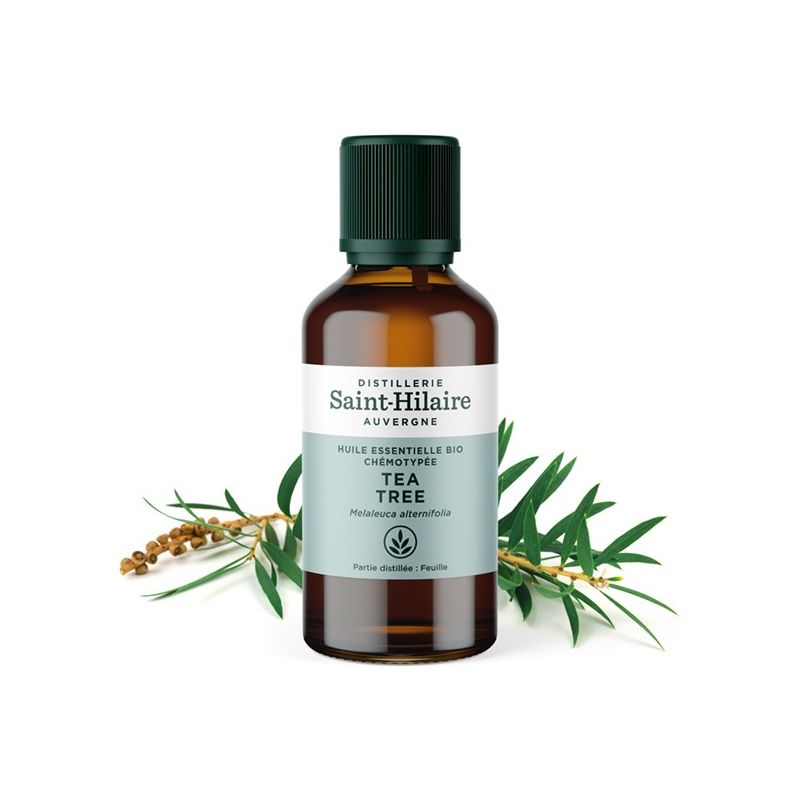 Olio essenziale (Biologico) di Tea Tree - 50ml - De Saint Hilaire