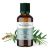 Olio essenziale (Biologico) di Tea Tree - 50ml - De Saint Hilaire