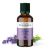 Huile essentielle BIO de Lavande Vraie - 50ml - De Saint Hilaire
