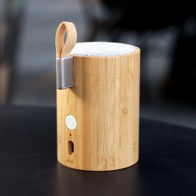Haut-parleur Bluetooth Drum + Lampe écoconçu en Bambou - Gingko Design
