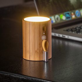 Haut-parleur Bluetooth Drum + Lampe écoconçu en Bambou - Gingko Design