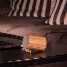Haut-parleur Bluetooth Drum + Lampe écoconçu en Bambou - Gingko Design