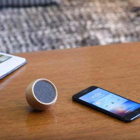 Haut-parleur Tumbler Bluetooth + Déclencheur de Selfie écoconçu en Cerisier - Gingko Design