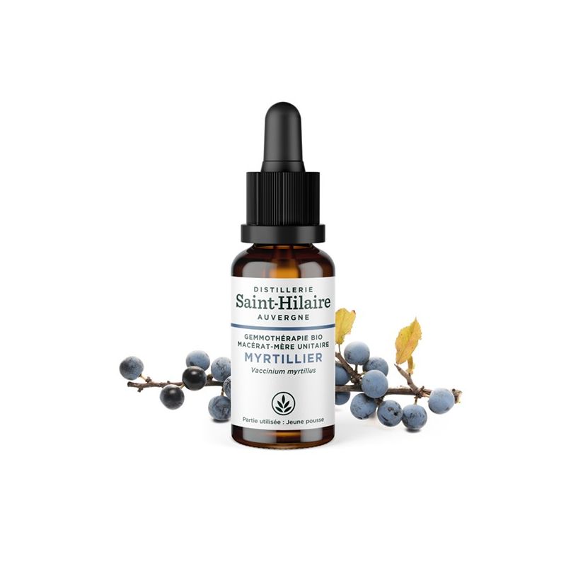 BIO Heidelbeere Knospen Muttermazerat (Glyzerin) - 30ml - Saint-Hilaire