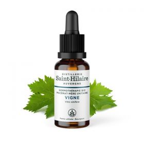 Madre-macerato biologico (glicerina) di gemme di vite - 30ml - Saint-Hilaire
