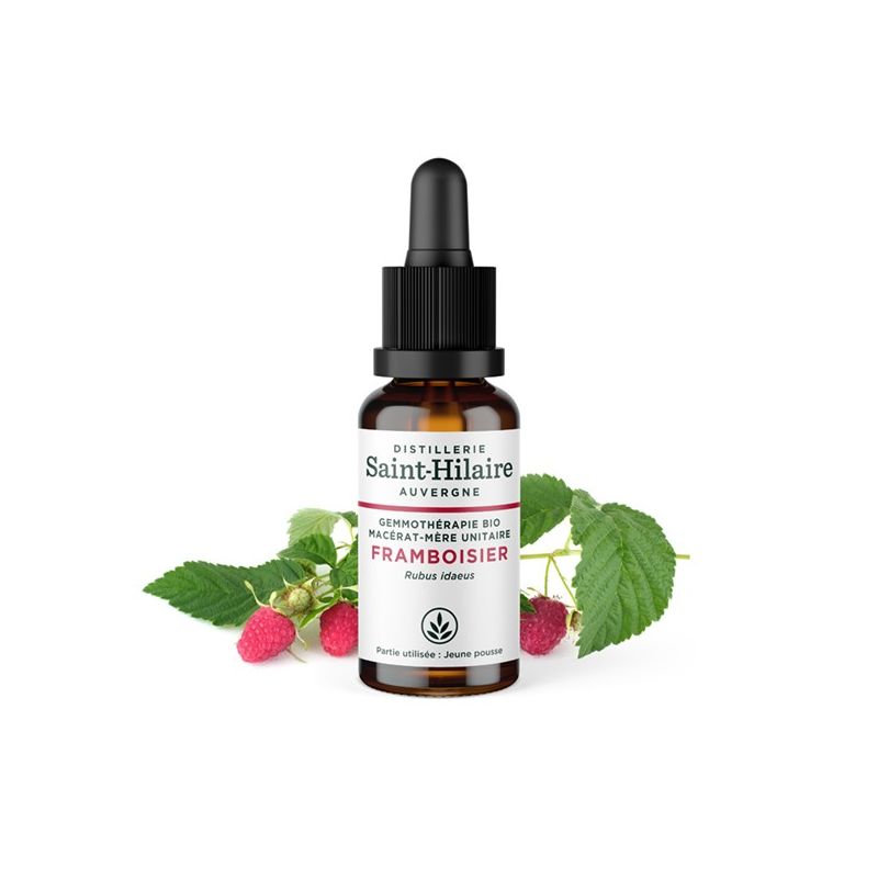 Madre-macerato biologico (glicerina) di gemme di lampone - 30ml - Saint-Hilaire