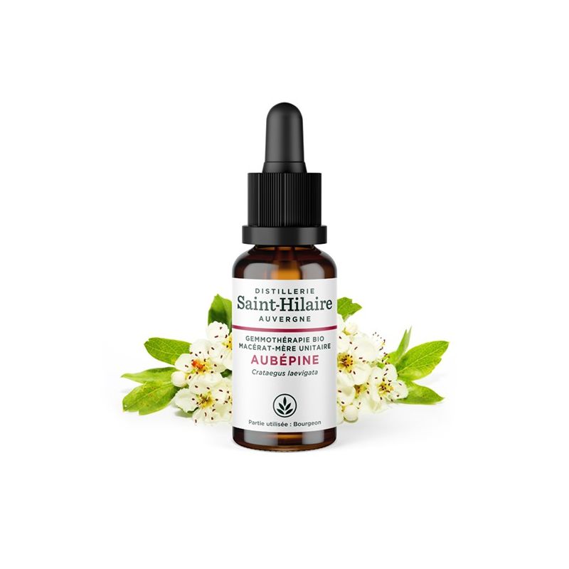 Madre-macerato biologico (glicerina) di gemme di biancospino - 30ml - Saint-Hilaire