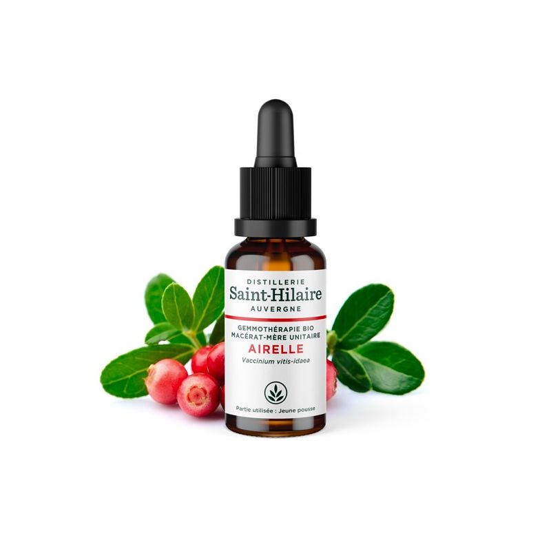 Macérat-mère glycériné BIO de bourgeon d'Airelle - 30ml - Saint-Hilaire