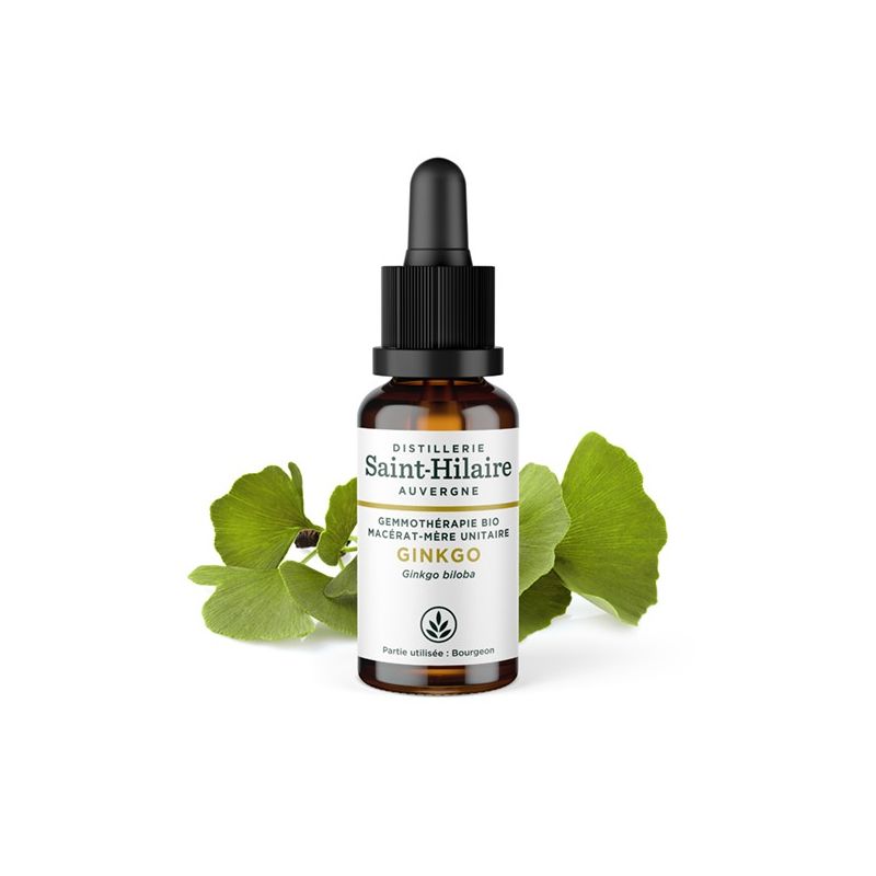 Macérat-mère glycériné BIO de bourgeon de Ginkgo Biloba - 30ml - Saint-Hilaire