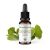 Macérat-mère glycériné BIO de bourgeon de Ginkgo Biloba - 30ml - Saint-Hilaire