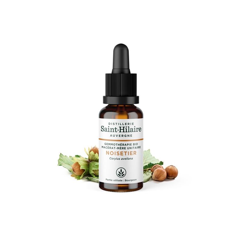 Bio Haselnussstrauch Knospe Muttermazerat (Glyzerin) - 30ml - Saint-Hilaire