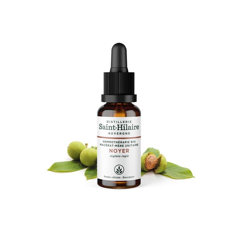 Macérat-mère glycériné BIO de bourgeon de Noyer - 30ml - Saint-Hilaire