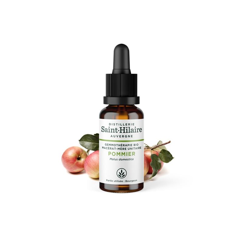 Madre-macerato biologico (glicerina) di gemme di mela - 30ml - Saint-Hilaire