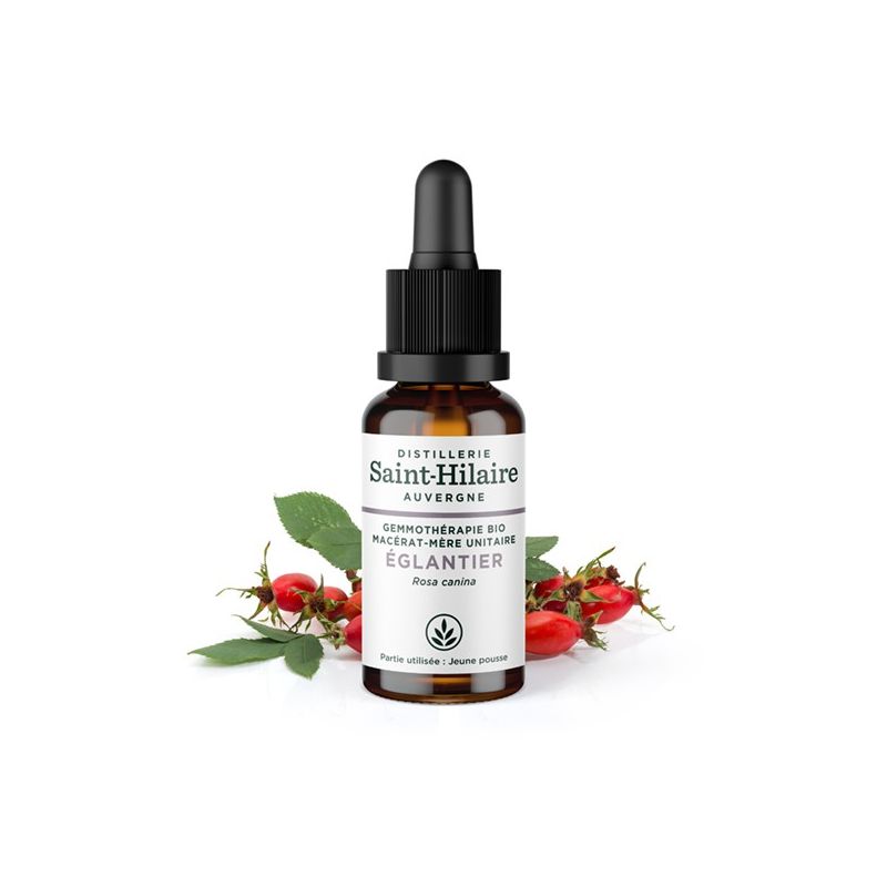 Bio Hagebutten Knospe Muttermazerat (Glyzerin) - 30ml - Saint-Hilaire
