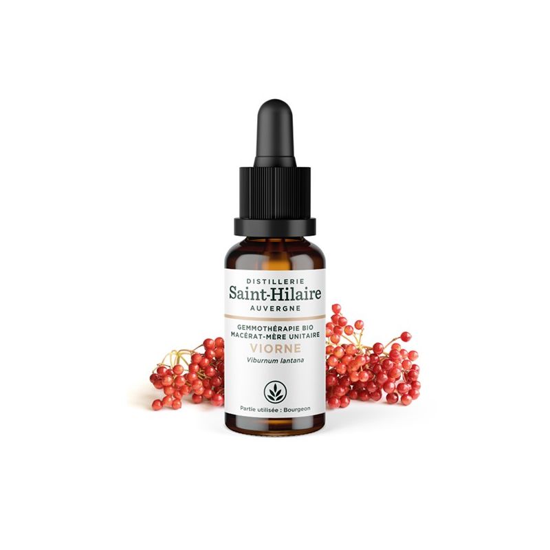 Macérat-mère glycériné BIO de bourgeon de Viorne - 30ml - Saint-Hilaire