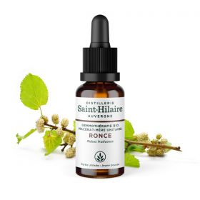 Macérat-mère glycériné BIO de bourgeon de Ronce - 30ml - Saint-Hilaire