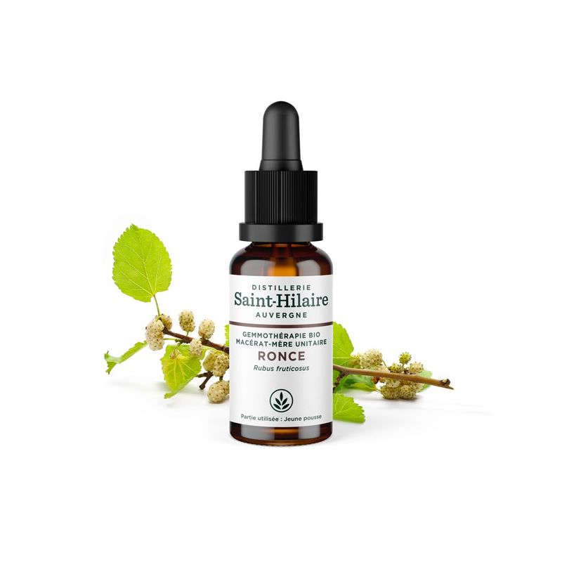 Macérat-mère glycériné BIO de bourgeon de Ronce - 30ml - Saint-Hilaire