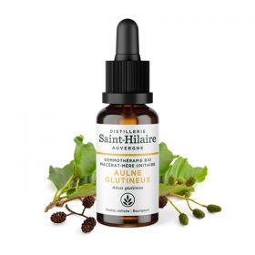 Macérat-mère glycériné BIO de bourgeon d'Aulne glutineux - 30ml - Saint-Hilaire