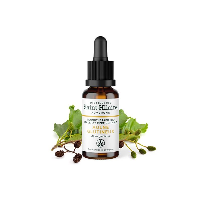 Madre-macerato biologico (glicerina) di gemme di Ontano - 30ml - Saint-Hilaire