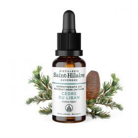 Madre-macerato biologico (glicerina) di gemme di Cedro del Libano - 30ml - Saint-Hilaire