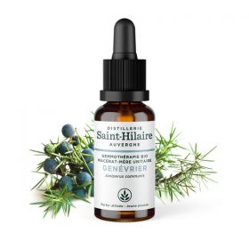 Madre-macerato biologico (glicerina) di gemme di ginepro - 30ml - Saint-Hilaire
