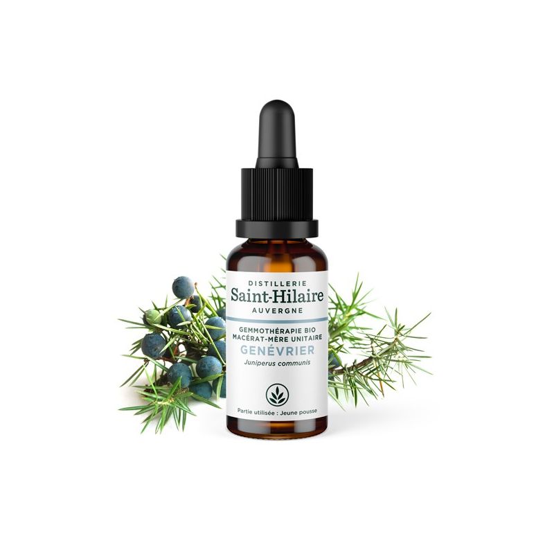 Macérat-mère glycériné BIO de bourgeon de Genévrier - 30ml - Saint-Hilaire