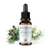 Madre-macerato biologico (glicerina) di gemme di ginepro - 30ml - Saint-Hilaire